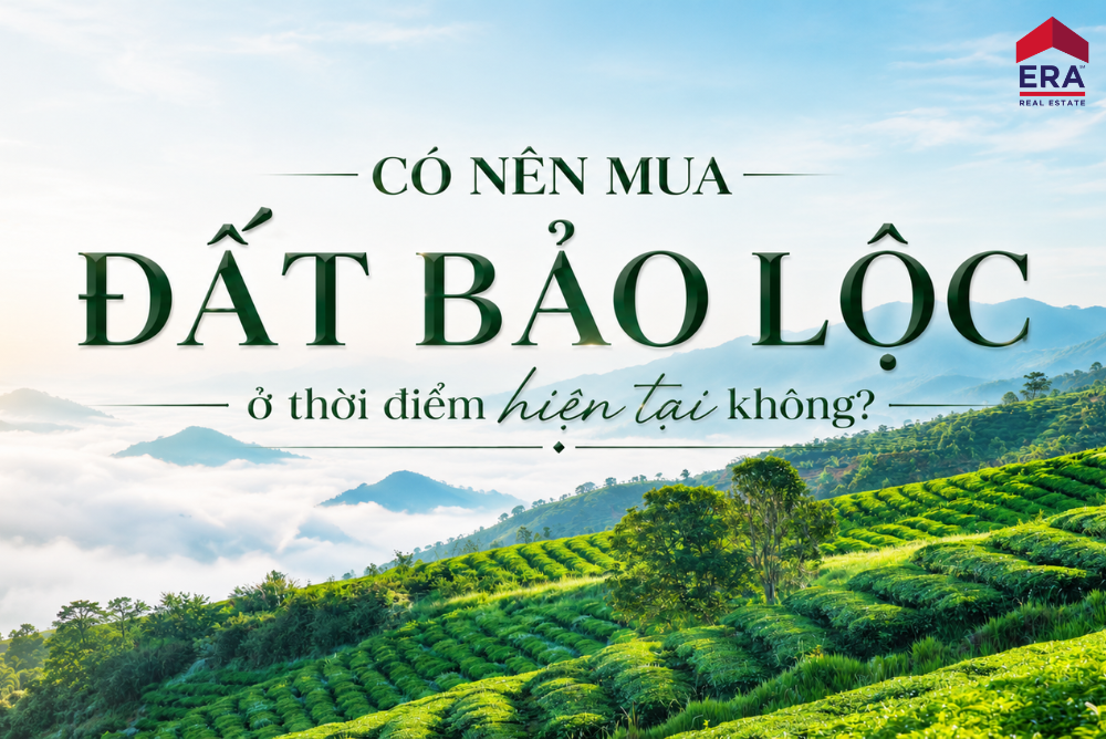 Có nên mua đất Bảo Lộc không? Đừng quyết định trước khi trả lời 3 câu hỏi này