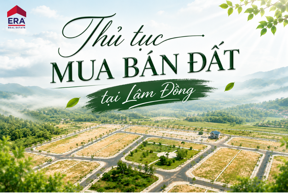 Thủ tục mua bán đất Lâm Đồng: Muốn giao dịch an toàn, đừng bắt đầu từ phòng công chứng
